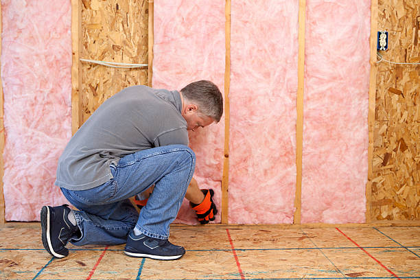 Best Geographic-Specific Insulation Services in Redwood City, CA